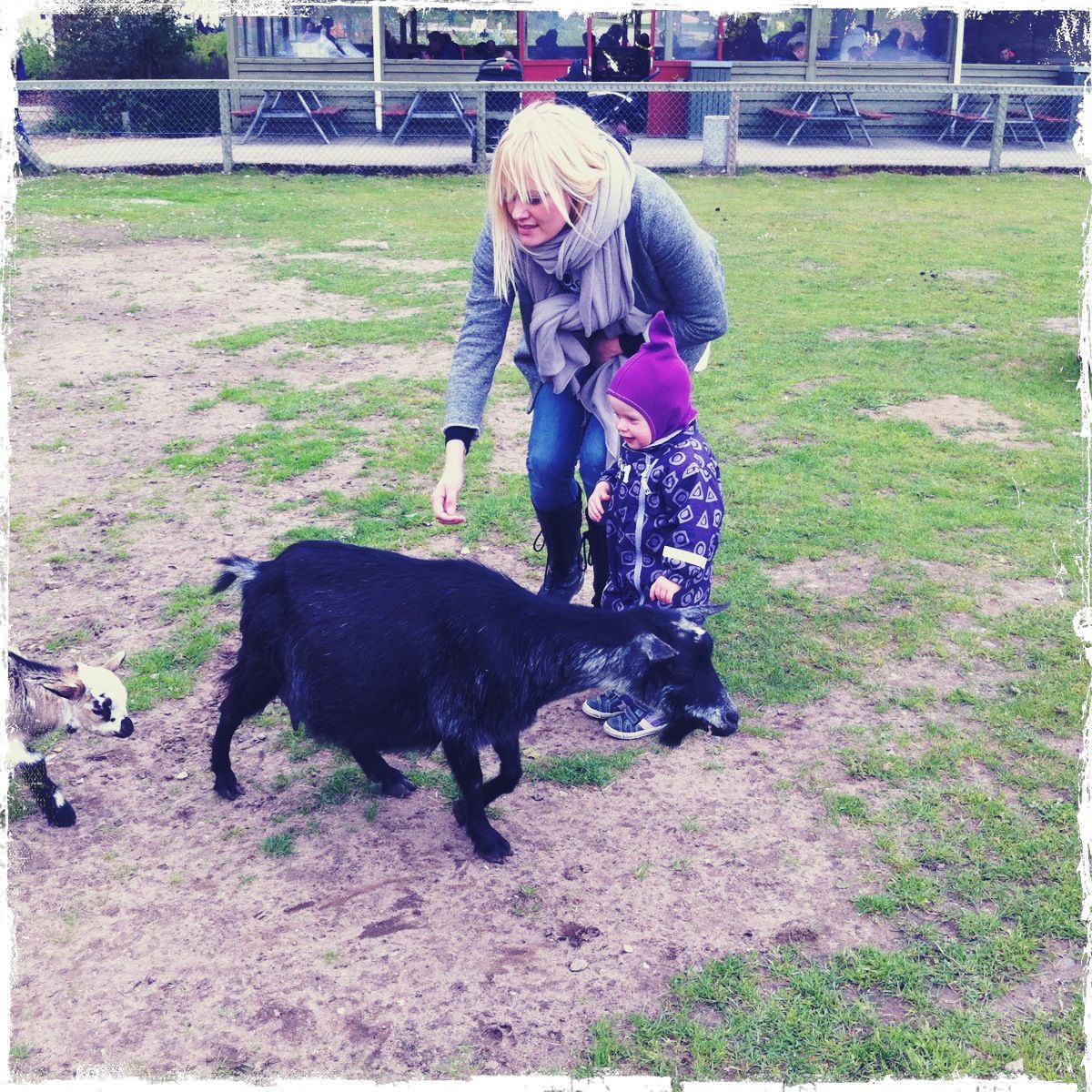 Givskud Zoo kort Miss Janni com Givskud Zoo kort Miss Janni com